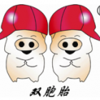 双胞胎（集团）股份有限公司