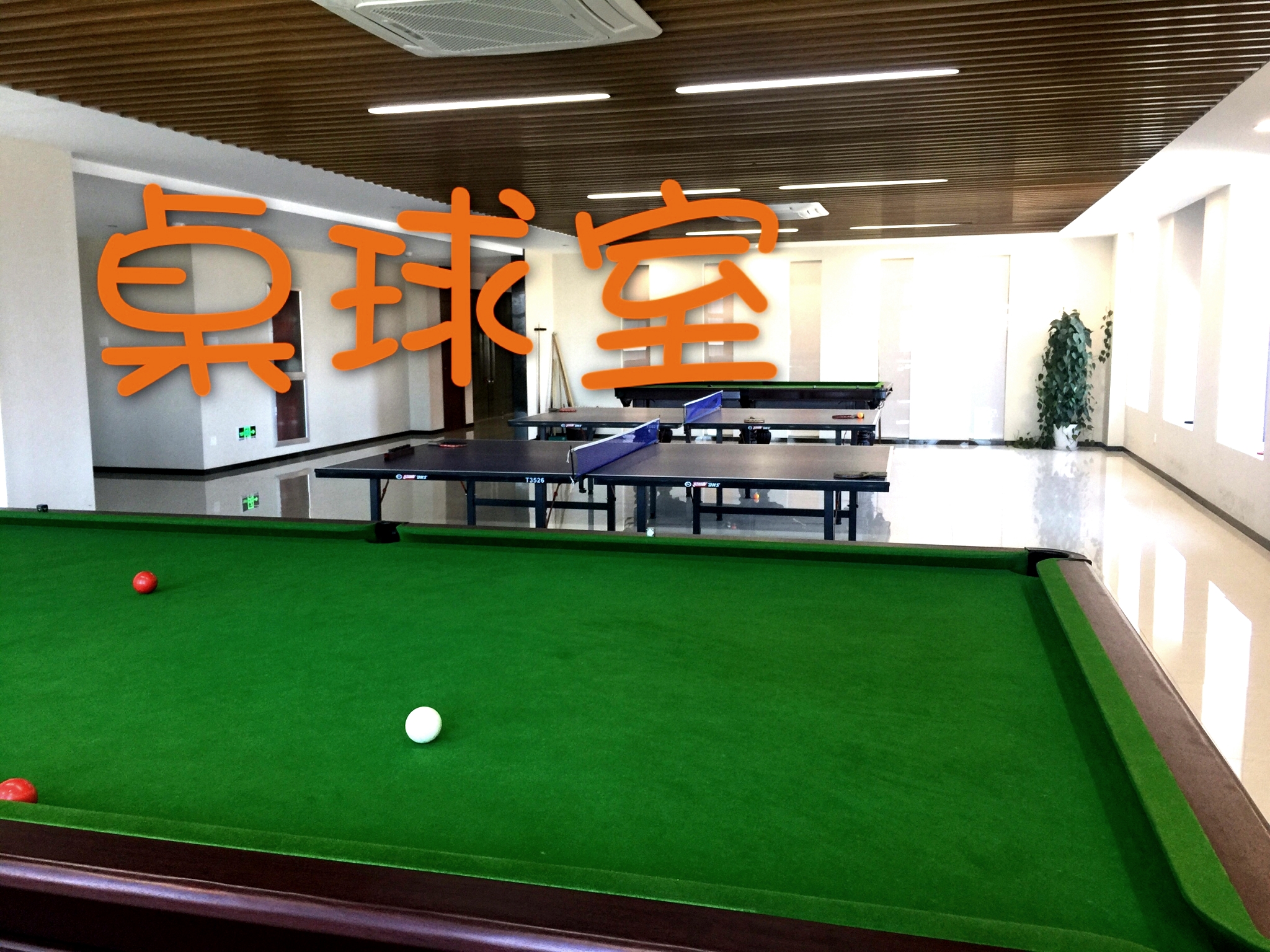 桌球室