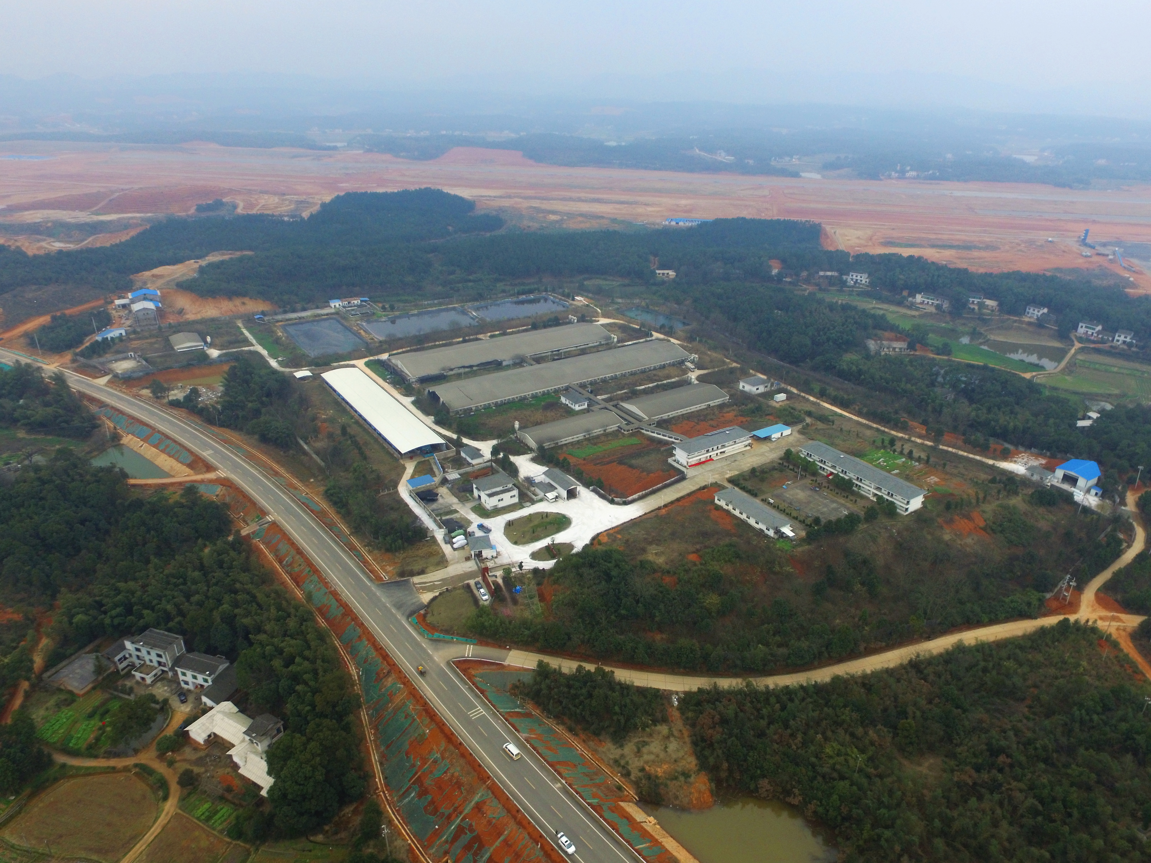 大屯营种猪场鸟瞰图